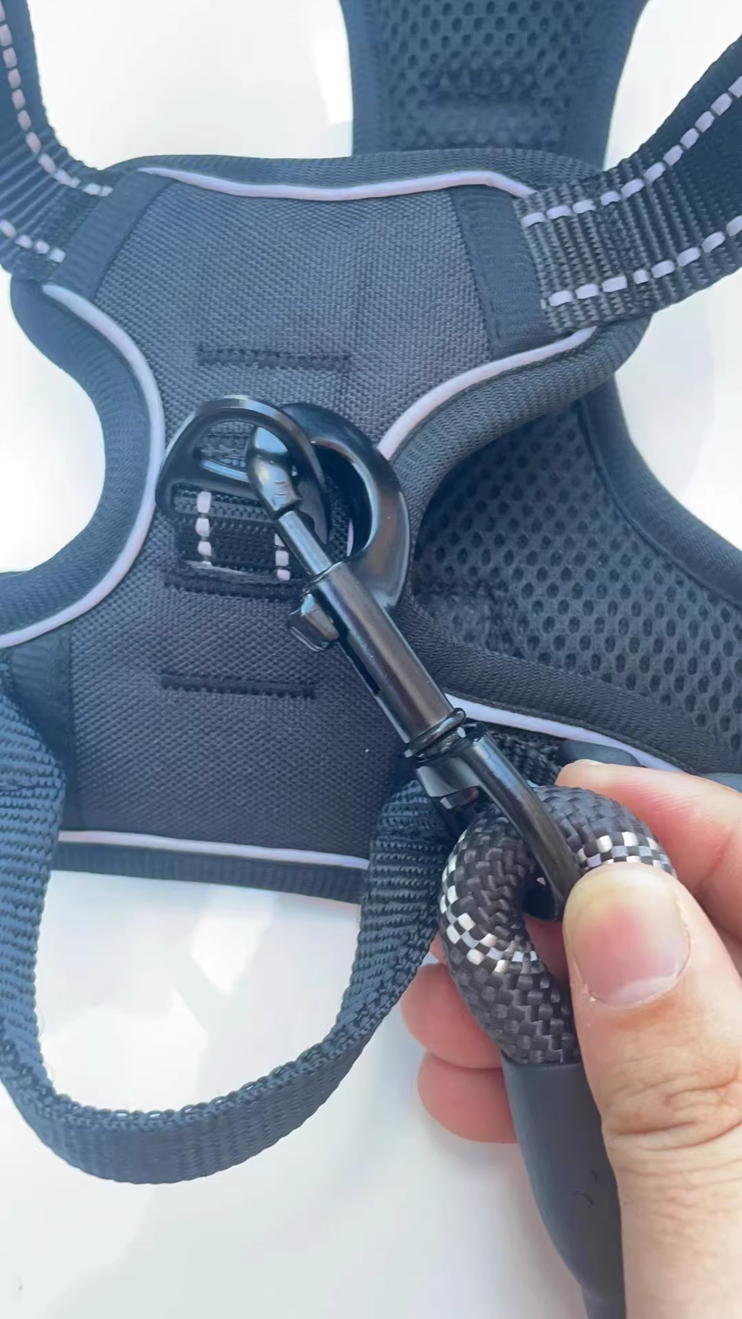 PawCare™ Honden Autoharnas