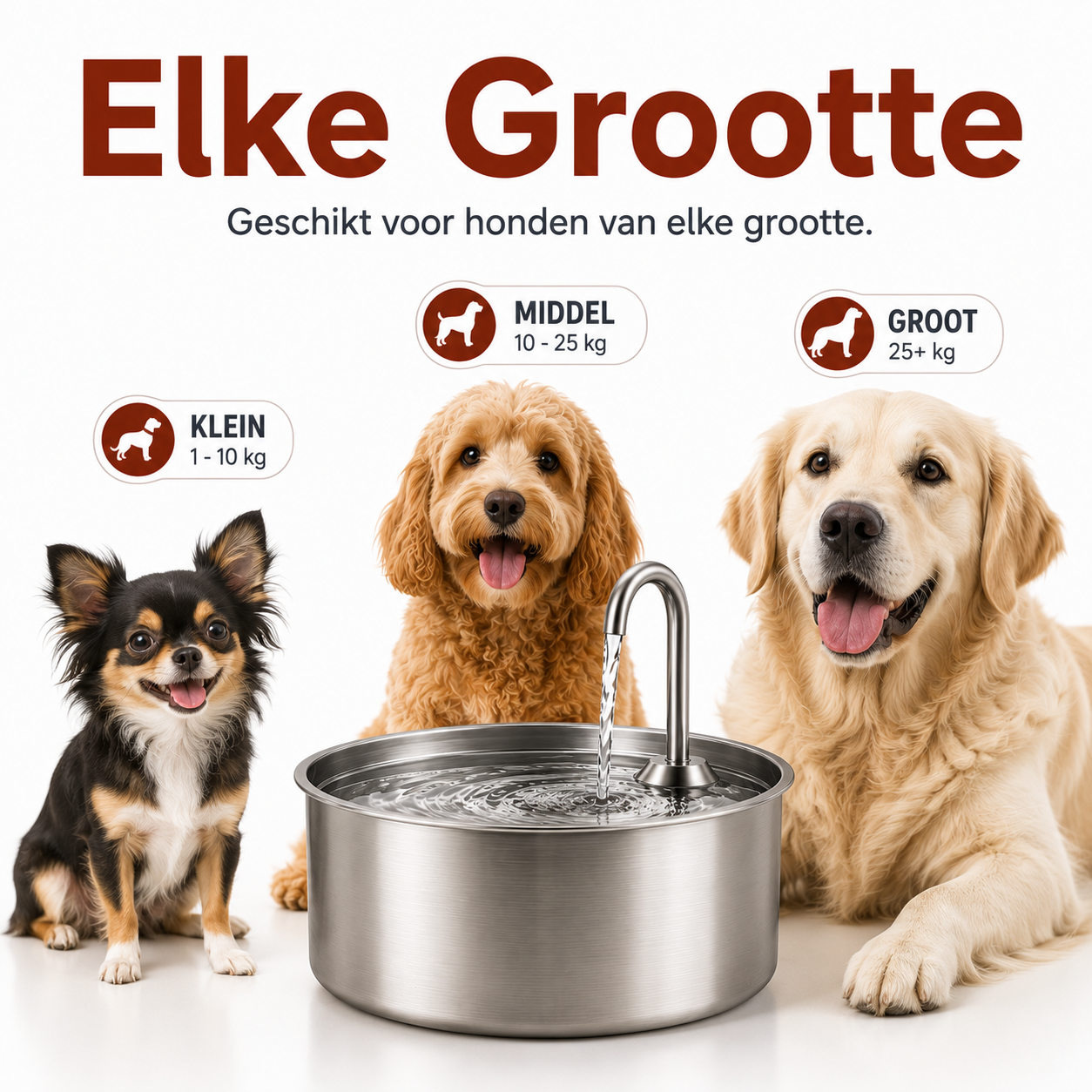 PawCare™ AquaFlow – Antibakterieller Trinkbrunnen mit Filterung