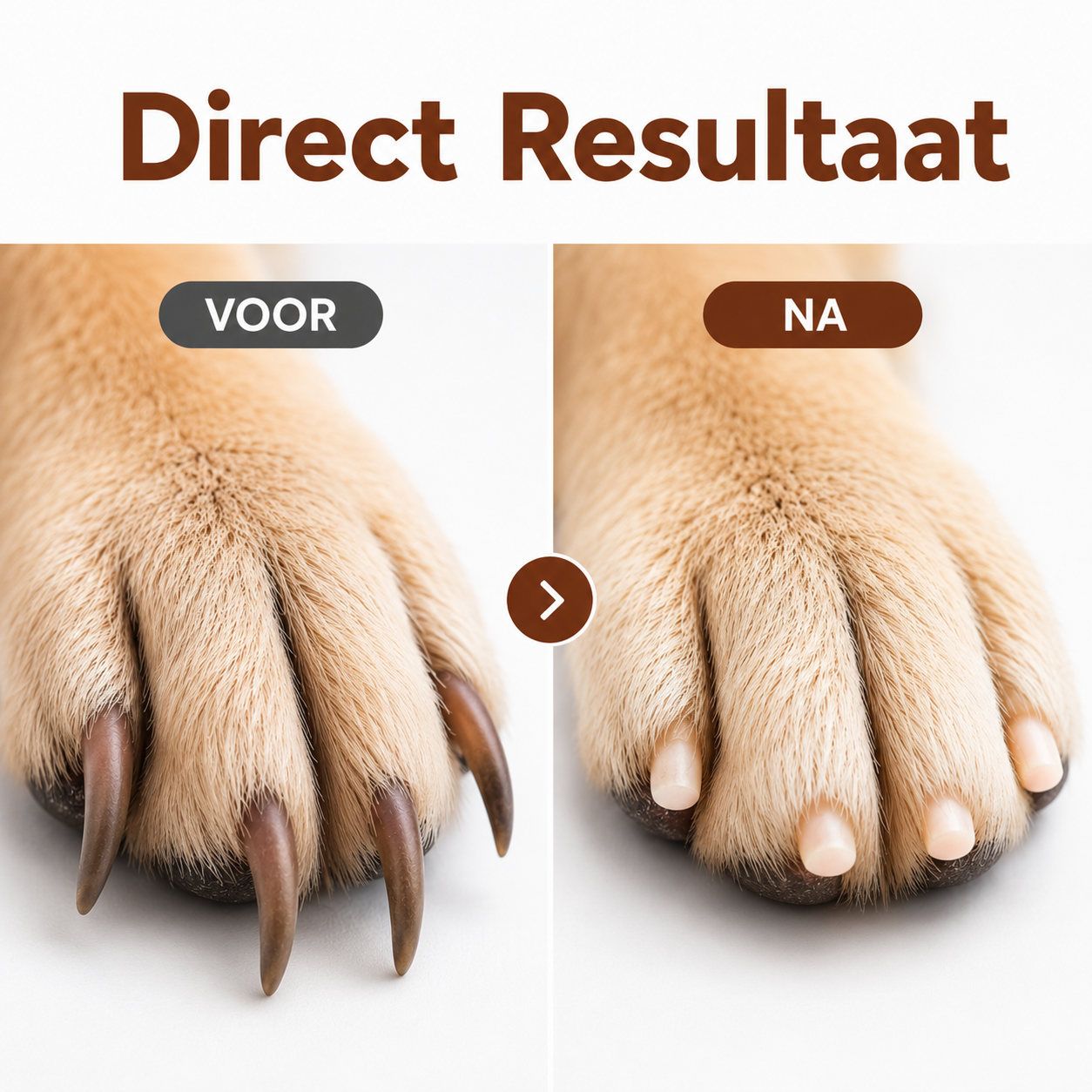 Paw-care PrecisionCare™ – Der ultimative Krallenschneider für Haustiere
