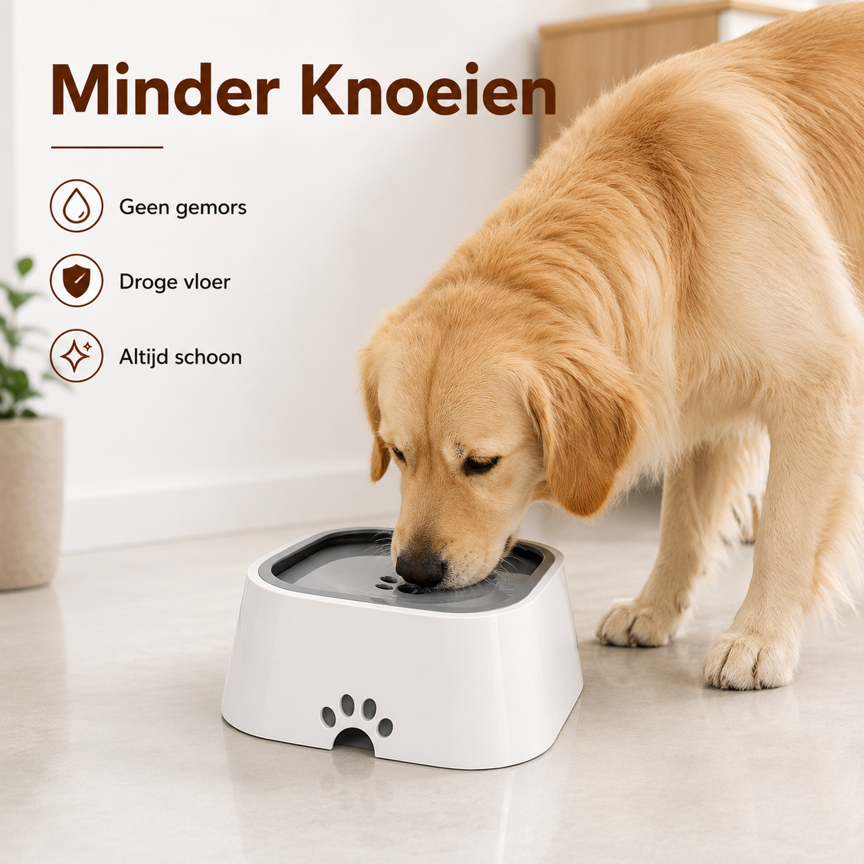 PawCare CleanBowl™ – Anti-Kleckser Trinknapf für Hunde & Katzen