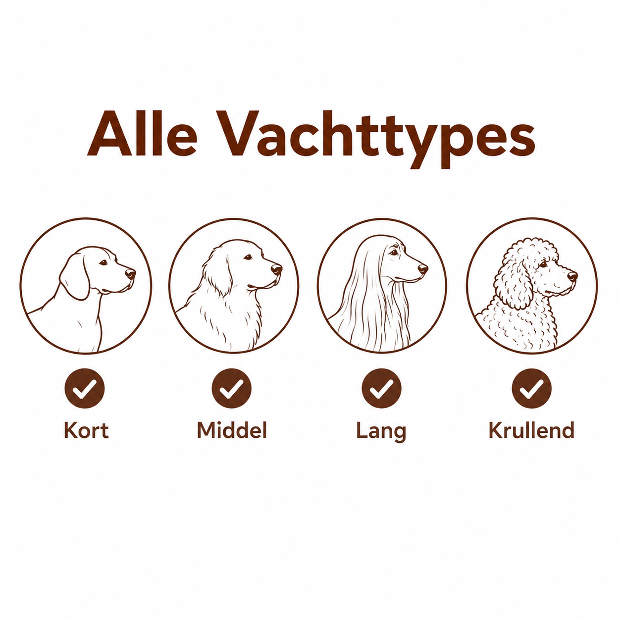 Paw-Care Pflegebürste™