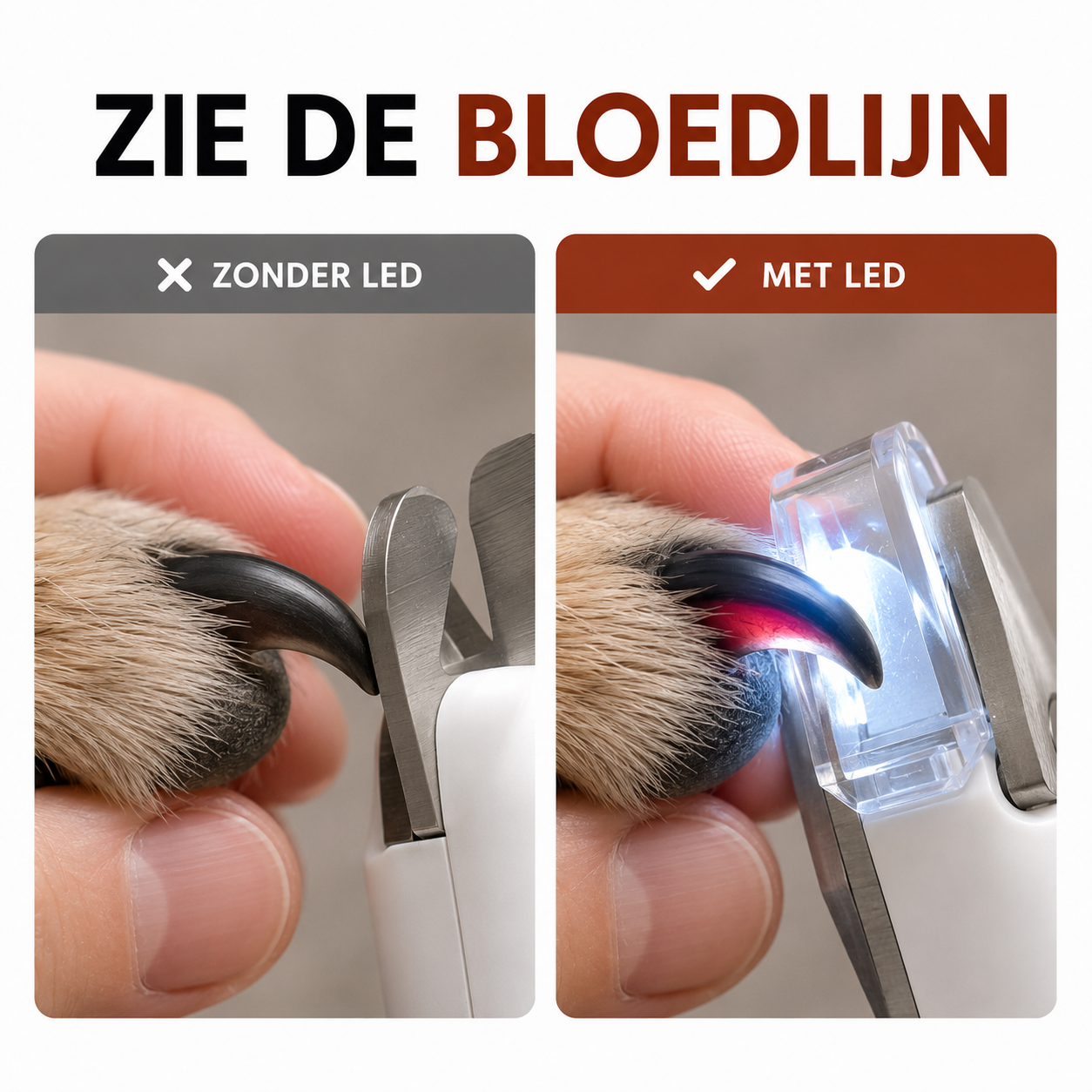 Paw-Care™ LED-Nagelschere