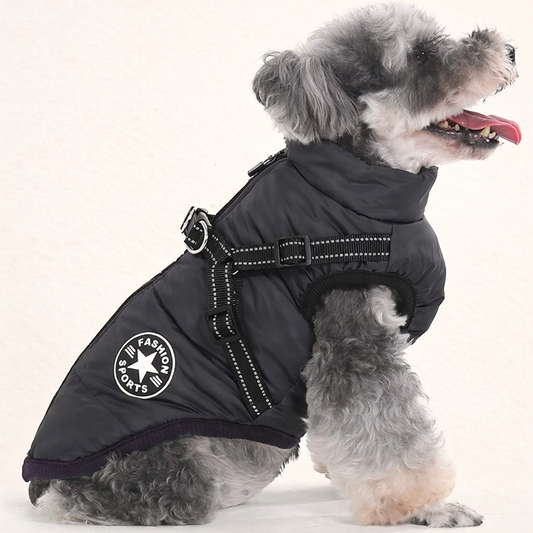 Paw-Care™ WeatherPro Jacke – Schützen Sie Ihren vierbeinigen Freund vor Kälte und Regen