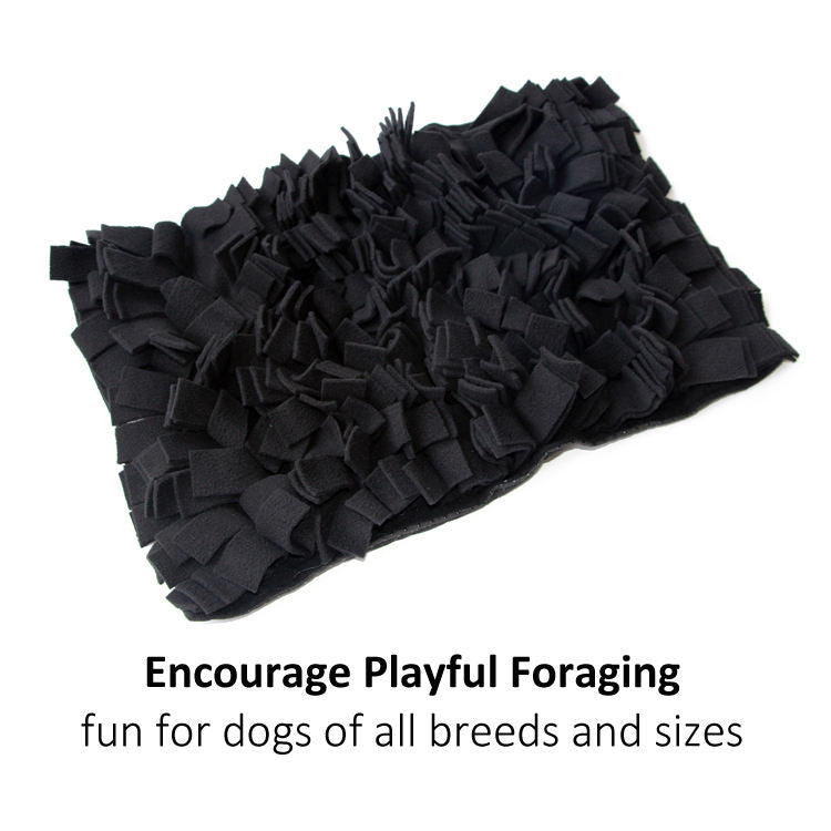 PawCare™ Snuffle Mat Pro