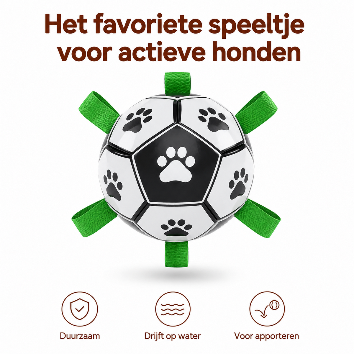 PawCare™ AquaFetch Ball