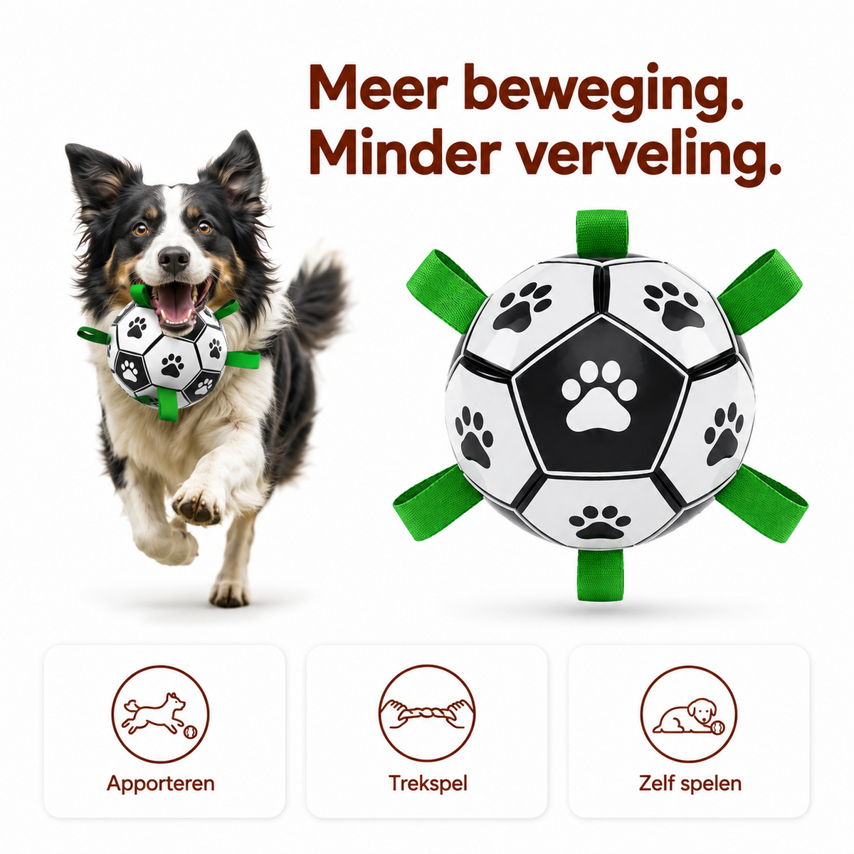 PawCare™ AquaFetch Ball