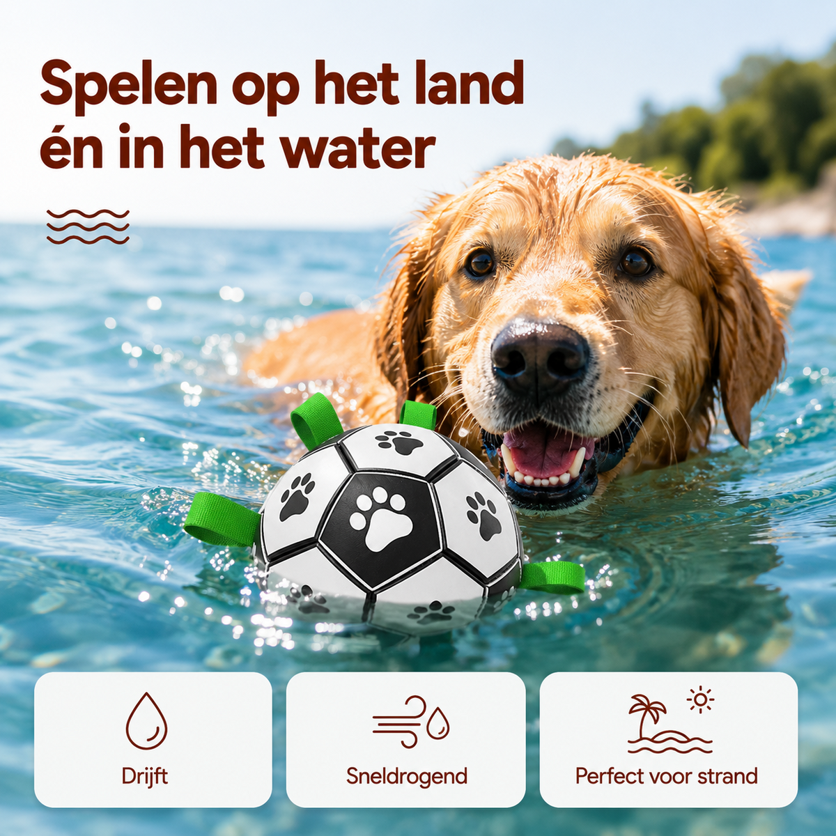 PawCare™ AquaFetch Ball
