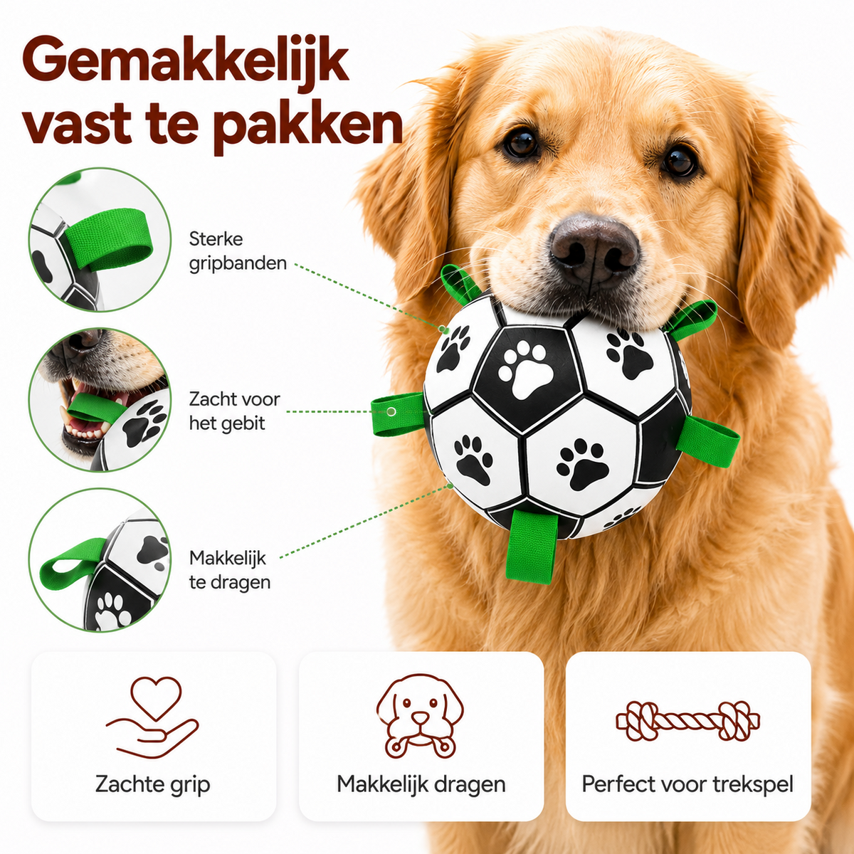 PawCare™ AquaFetch Ball