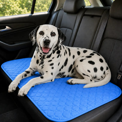 PawCare™ Kühlmatte Pro