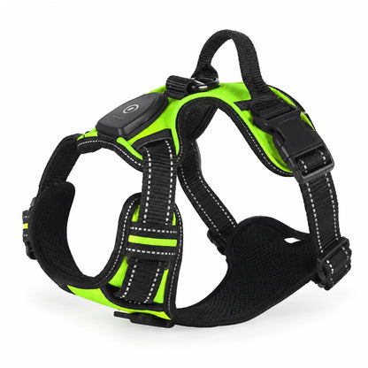 SAFETY DOG – Das Original™ - Das LED-Geschirr, das Ihren Hund beschützt