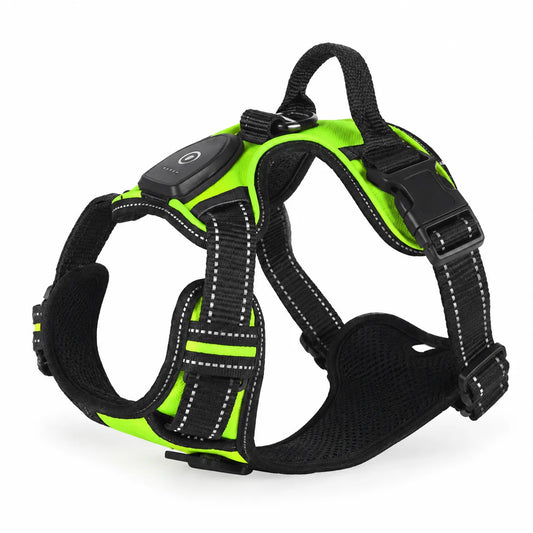 PawCare™ LumiSafe LED-Hundegeschirr