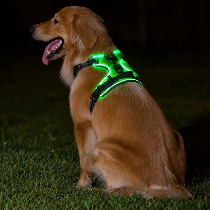 SAFETY DOG – Das Original™ - Das LED-Geschirr, das Ihren Hund beschützt