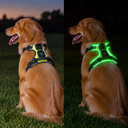 SAFETY DOG – Das Original™ - Das LED-Geschirr, das Ihren Hund beschützt