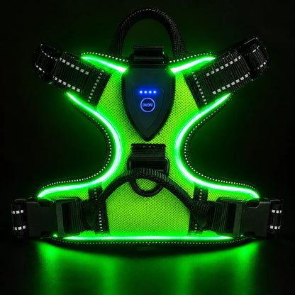 SAFETY DOG – Das Original™ - Das LED-Geschirr, das Ihren Hund beschützt