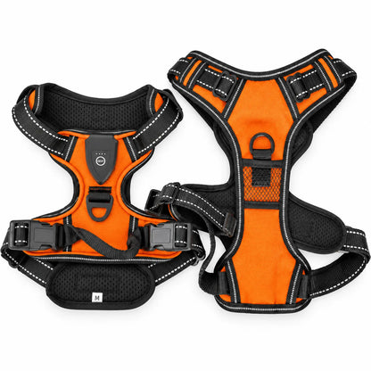 SAFETY DOG – Das Original™ - Das LED-Geschirr, das Ihren Hund beschützt