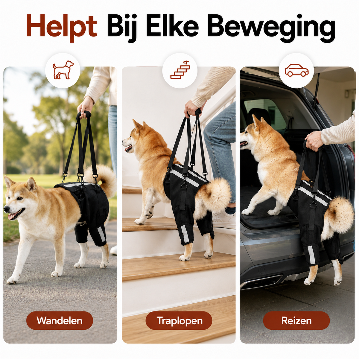 PawCare™ Mobilitätsgeschirr