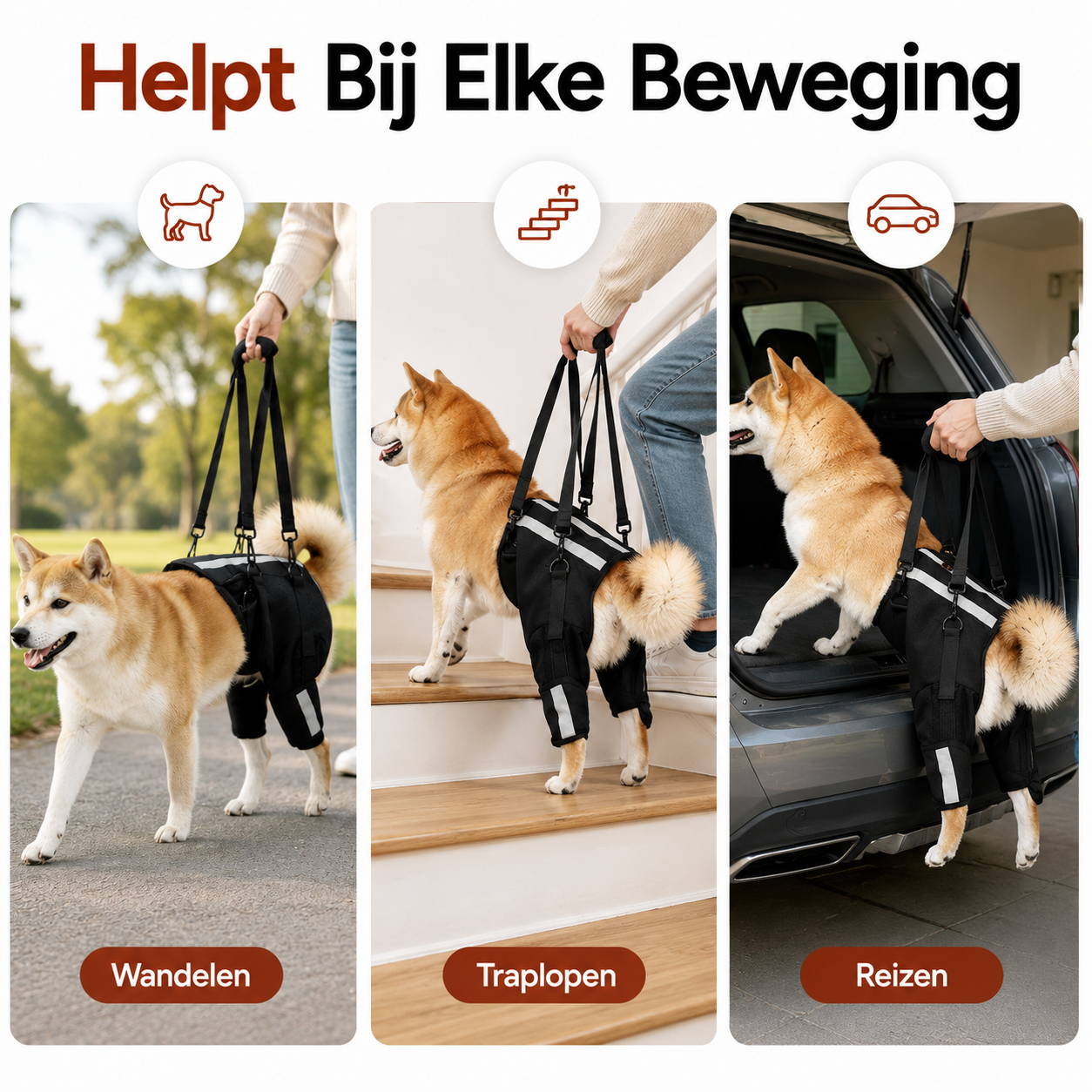 PawCare™ Mobility Harness