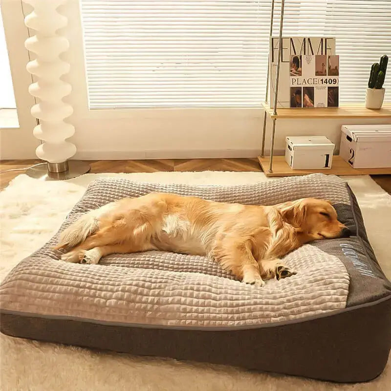 Paw-care™ Orthopädisches Hundekissen