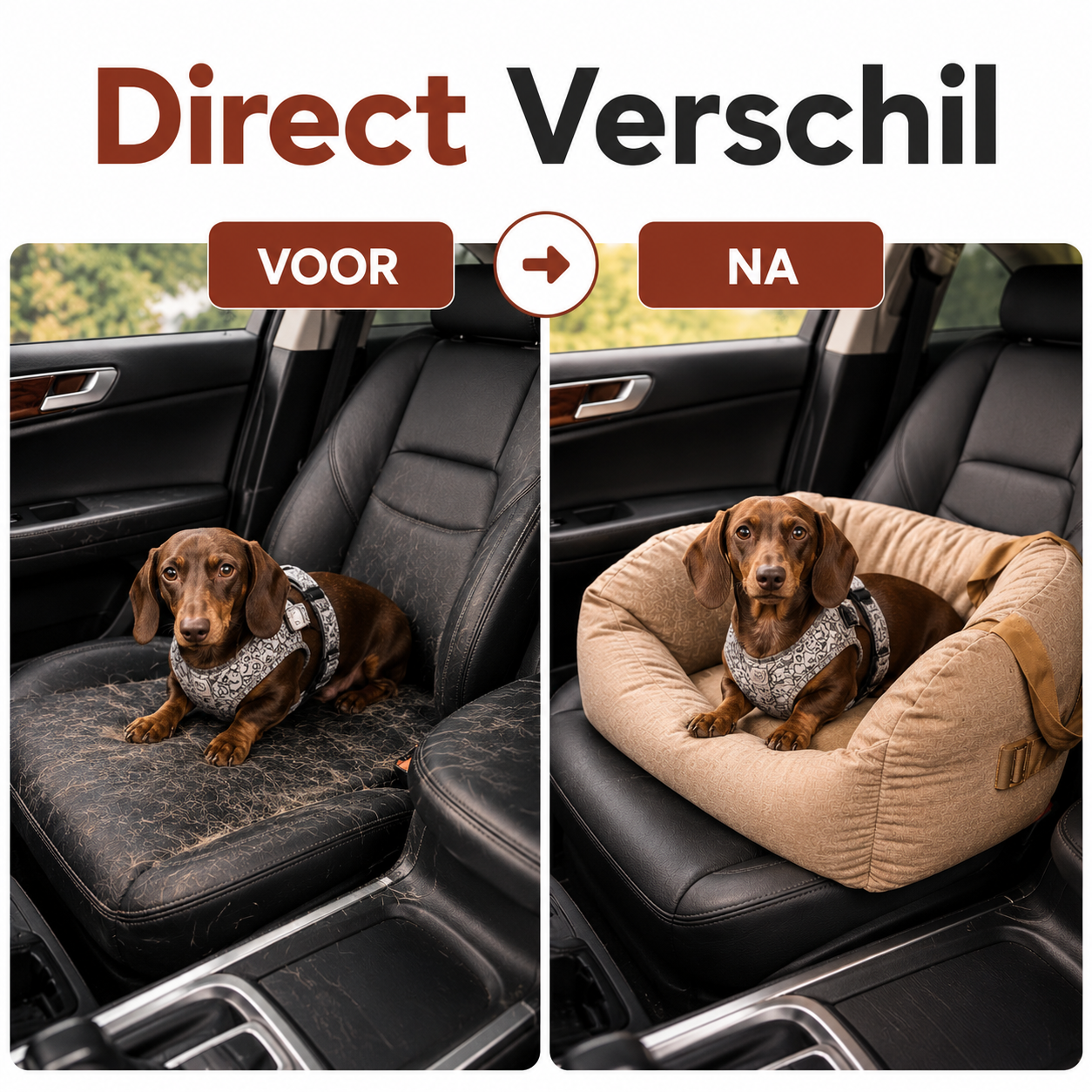 PawCare™ Premium Hundeautositz – Sicher & Komfortabel