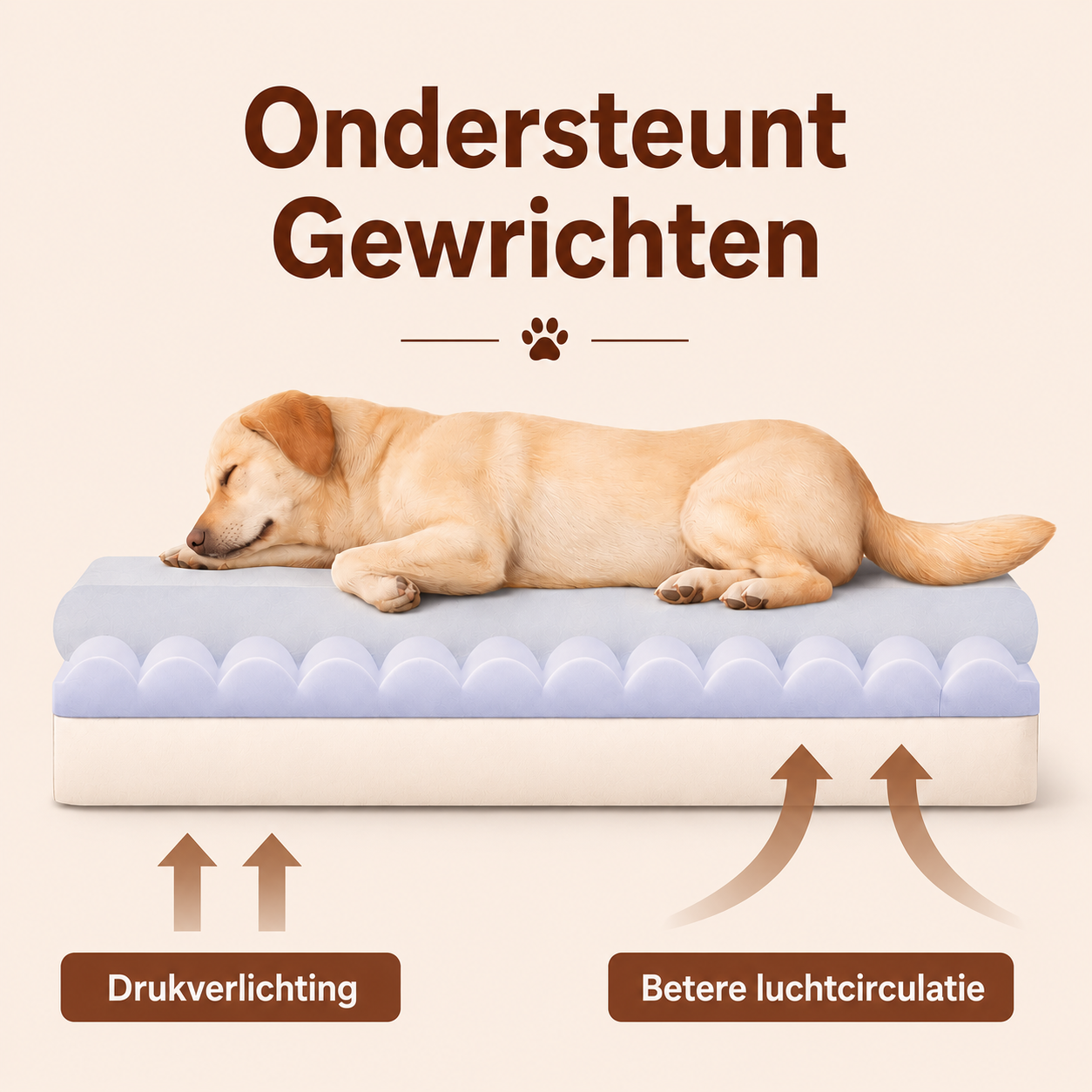 SleepEase™ Orthopädisches Hundekissen