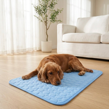 PawCare™ Kühlmatte Pro