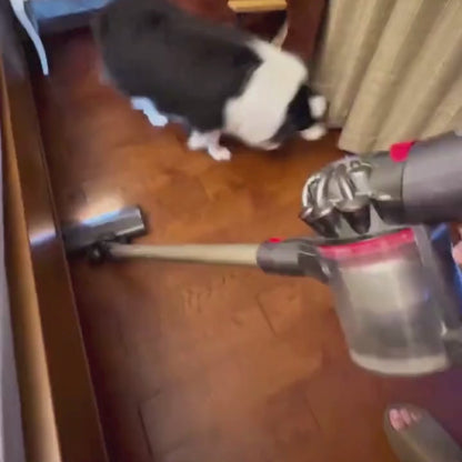Paw-Care™ Hunde-Trimmer|Leises, Sicheres & Kabelloses Trimmen