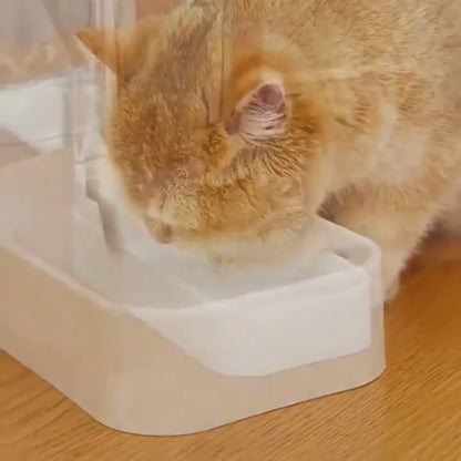 Paw-care FeedBuddy™ Automatischer Hundenapf | Immer frisches Futter